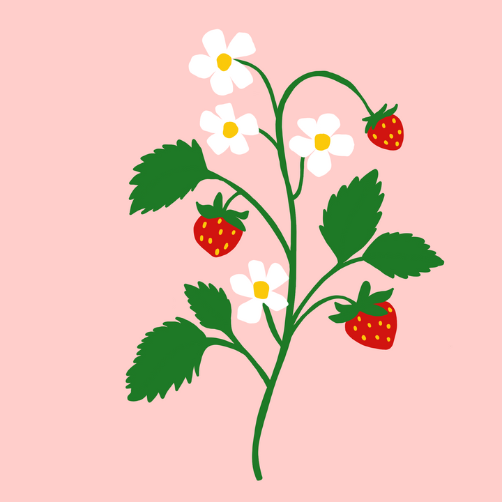 Digitale Vorlage Erdbeeren