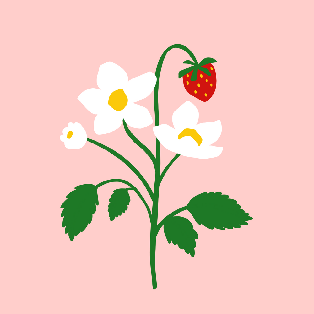 Erdbeeren - Digitale Vorlage für Siebdruck, Plotten & Applikation