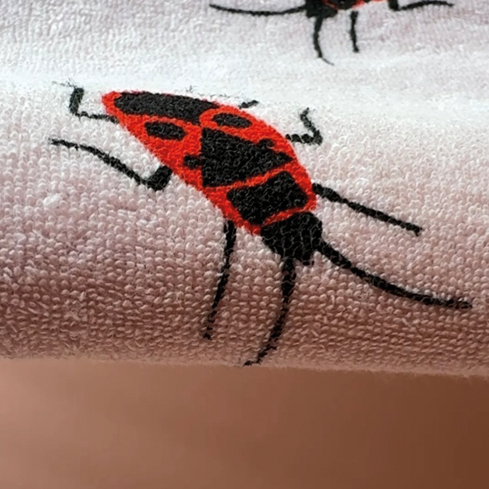 Digitale Vorlage Feuerwanzen