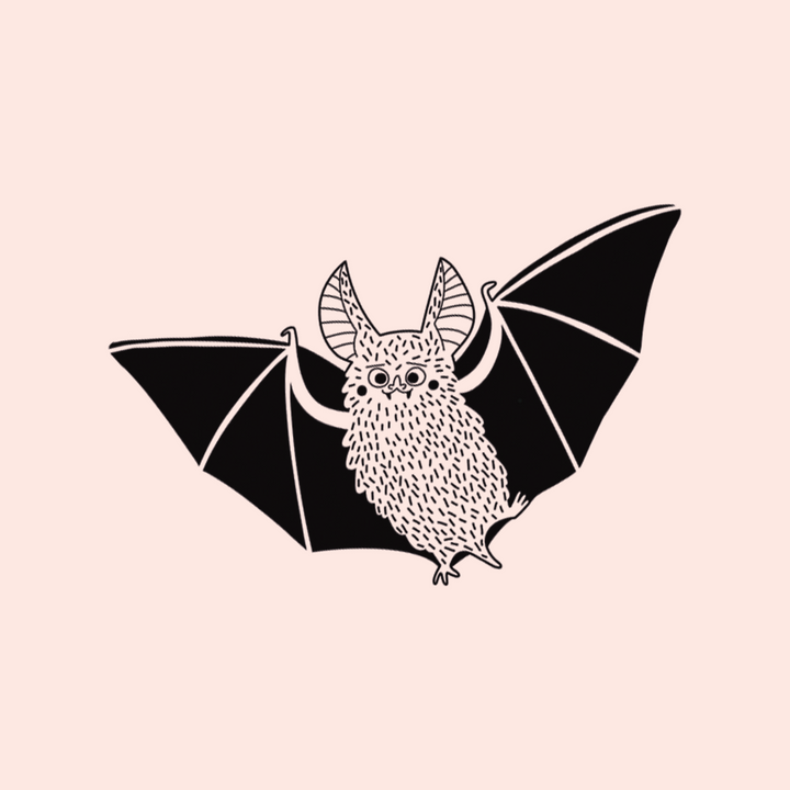 Fledermaus