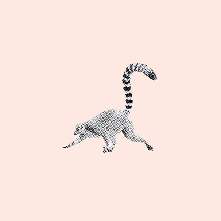 Lemur