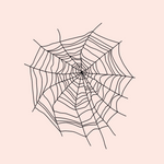 Spinnen und Netz