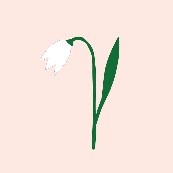 digitale Siebdruckvorlage Schneeglöckchen