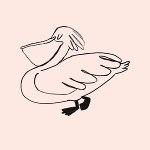 
            
                Load image into Gallery viewer, pelican
            
        